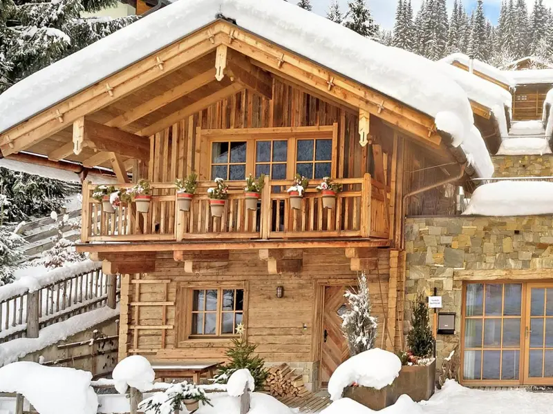 Unique Chalet Flachau I, chalet à Flachau-Wagrain-St. Johann (Autriche) (photo 2)