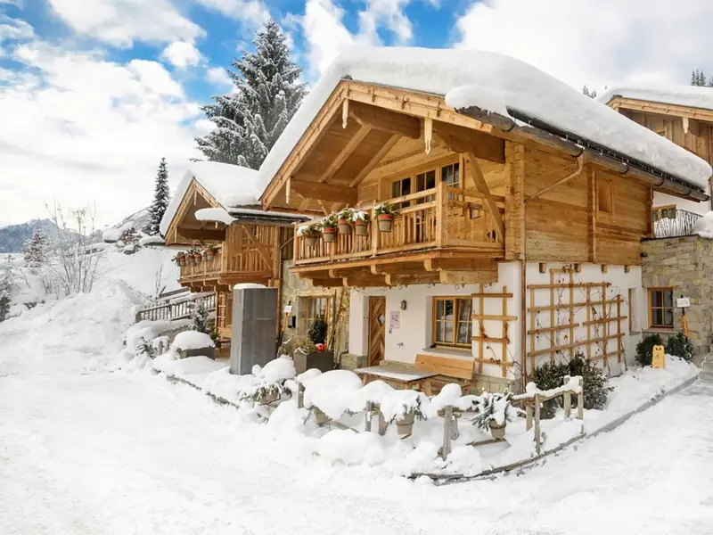 Unique Chalet Flachau I, chalet à Flachau-Wagrain-St. Johann (Autriche) (photo 3)