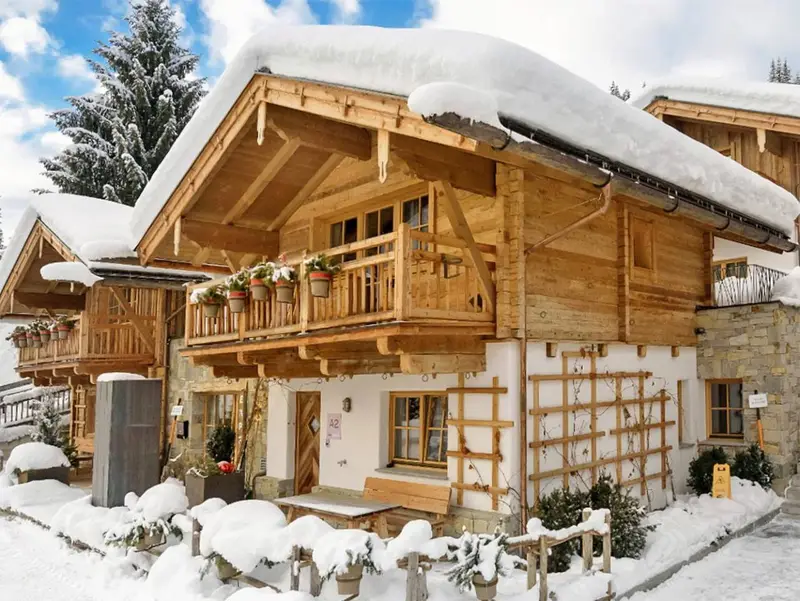 Relax Chalet Flachau III, chalet à Flachau-Wagrain-St. Johann (Autriche) (photo 3)