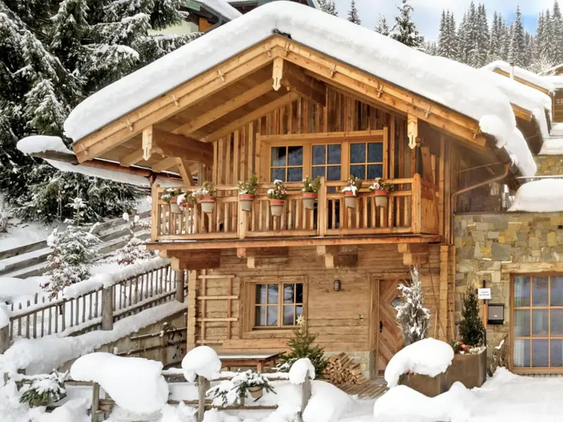 Relax Chalet Flachau I, chalet à Flachau-Wagrain-St. Johann (Autriche) (photo 2)
