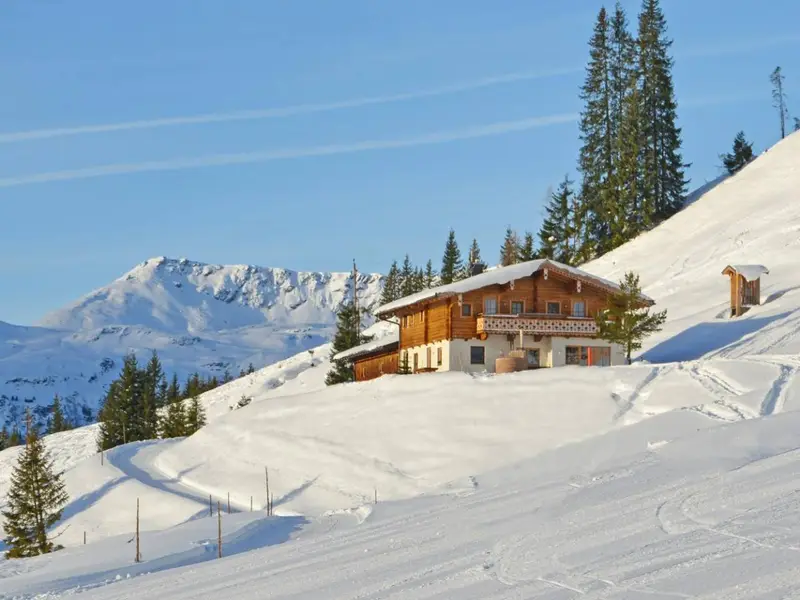 Panorama Hütte Saalbach, chalet à Leogang-Saalbach-Hinterglemm-Fieberbrunn (Autriche) (photo 2)