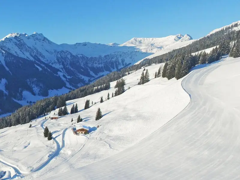 Panorama Hütte Saalbach, chalet à Leogang-Saalbach-Hinterglemm-Fieberbrunn (Autriche) (photo 3)