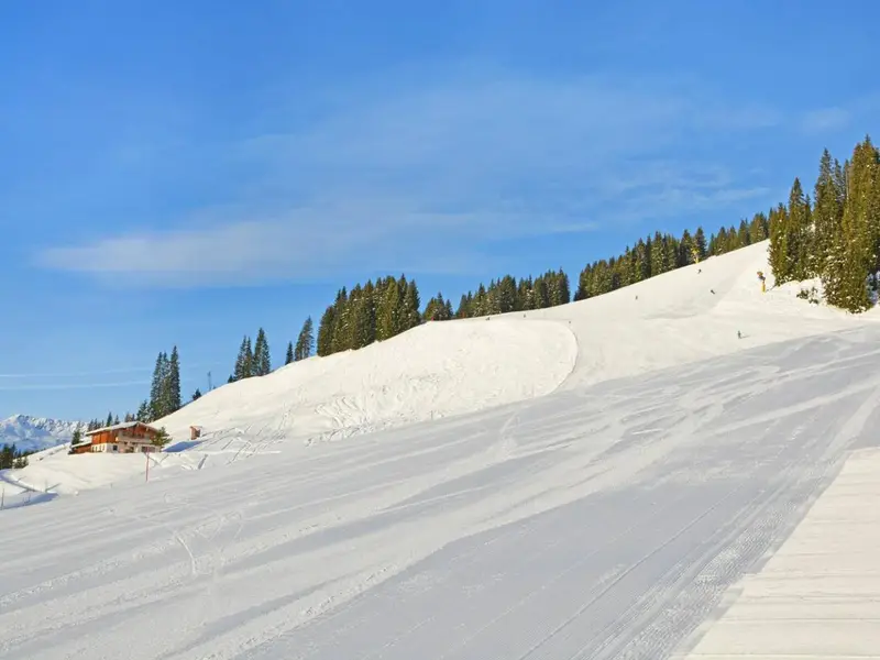 Panorama Hütte Saalbach, chalet à Leogang-Saalbach-Hinterglemm-Fieberbrunn (Autriche) (photo 4)