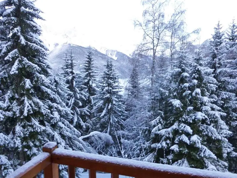 Chalet Dauphiné, chalet à Alpe d'Huez (France) (photo 8)