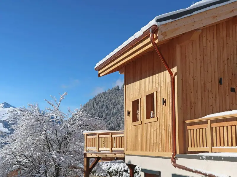 Chalet White Pearl, chalet à Paradiski - La Plagne & Les Arcs (France) (photo 3)
