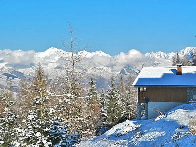 Chalet de Vallandry Chamois, chalet à Paradiski - La Plagne & Les Arcs (France) (photo 3)