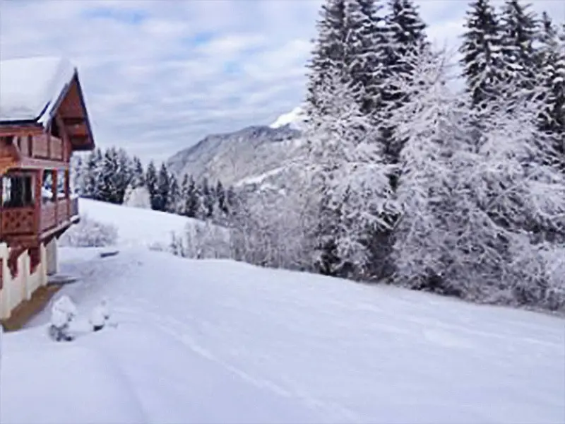 Chalet Gets CLG01, chalet à Portes du Soleil (France) (photo 5)
