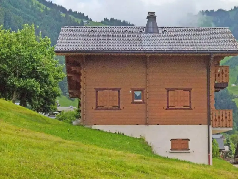 Chalet Châtel CPD01, chalet à Portes du Soleil (France) (photo 4)