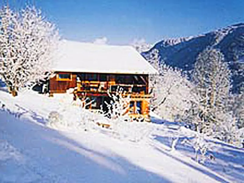 Chalet Grand Massif, chalet à Grand Massif (France) (photo 3)