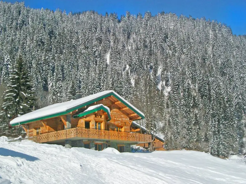 Chalet Châtel CVN01, chalet à Portes du Soleil (France) (photo 2)