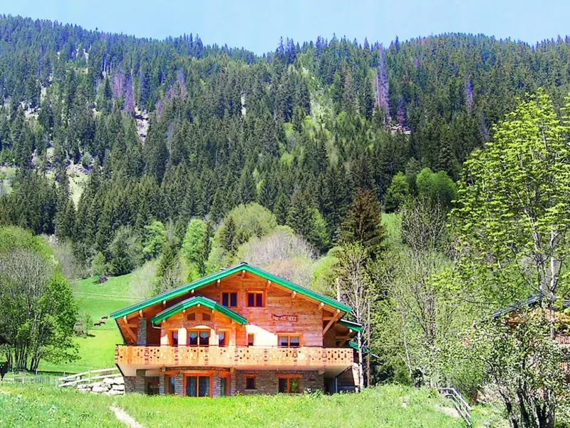 Chalet Châtel CVN01, chalet à Portes du Soleil (France) (photo 4)