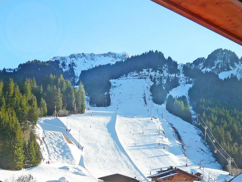 Chalet Châtel CVN01, chalet à Portes du Soleil (France) (photo 9)