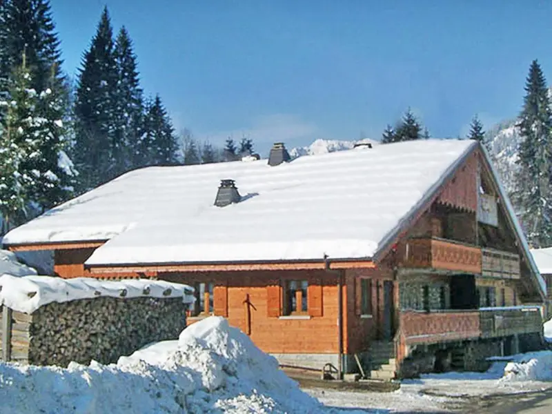 Chalet Châtel CBN01, chalet à Portes du Soleil (France) (photo 2)