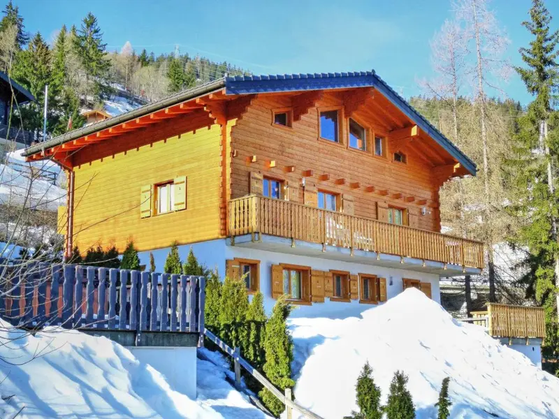 Chalet Michelle, chalet à 4 Vallées - Verbier (Suisse) (photo 2)