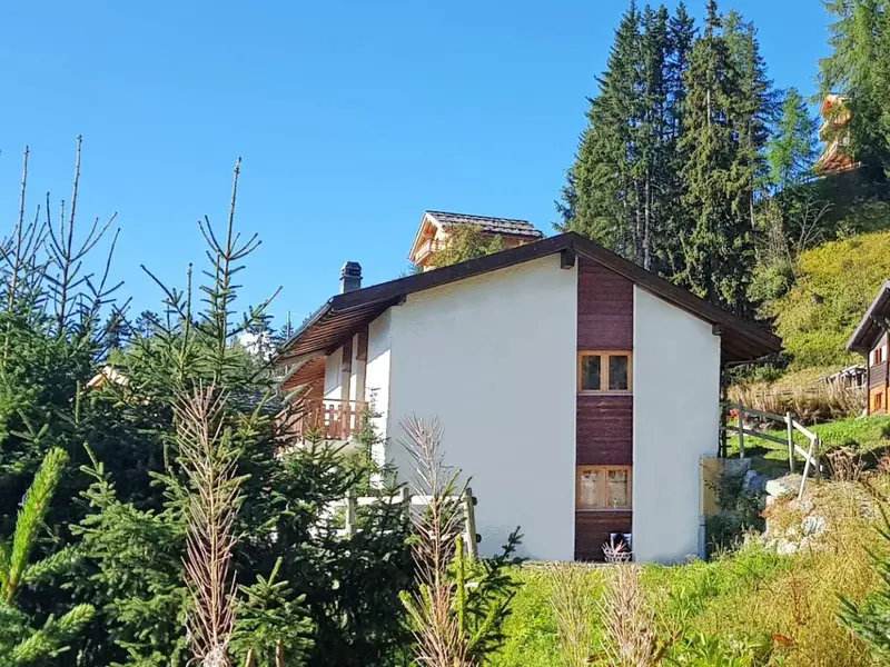 Chalet Arnica, chalet à 4 Vallées - Verbier