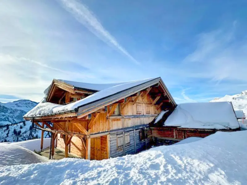 Chalet Les Mouflons, chalet à Portes Du Soleil (Suisse) (photo 4)