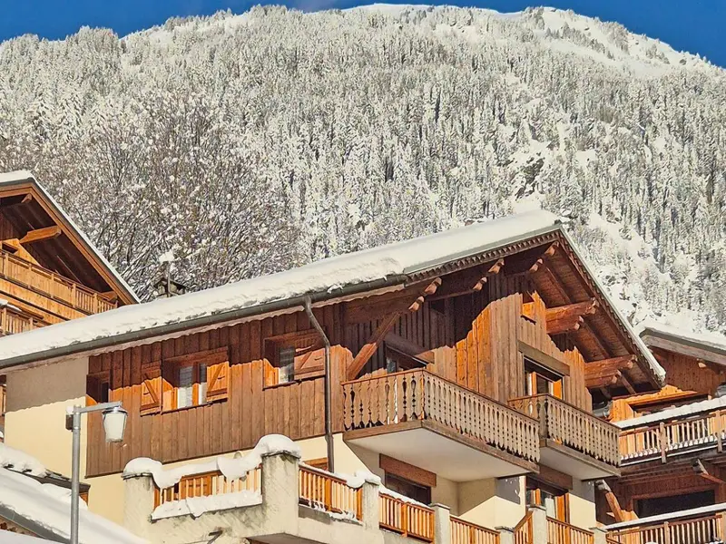 Chalet de la Côte, chalet à Paradiski - La Plagne & Les Arcs (France) (photo 2)