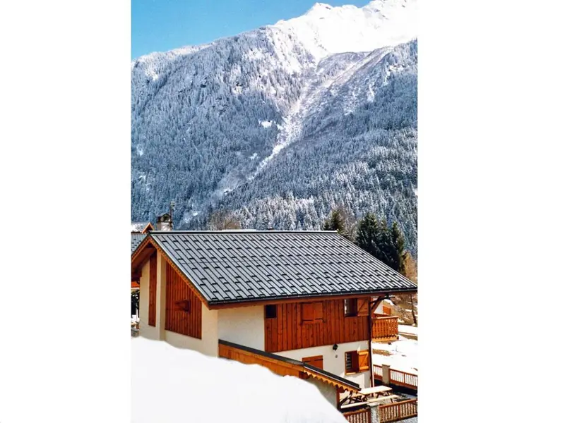 Chalet de la Côte, chalet à Paradiski - La Plagne & Les Arcs (France) (photo 3)