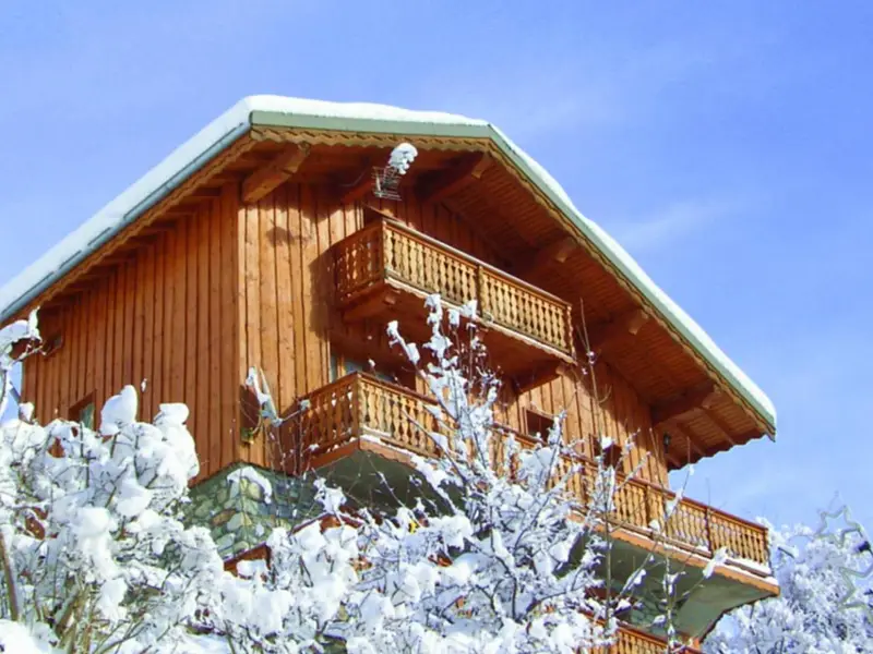 Chalet Gentianes Bleus, chalet à Paradiski - La Plagne & Les Arcs (France) (photo 2)