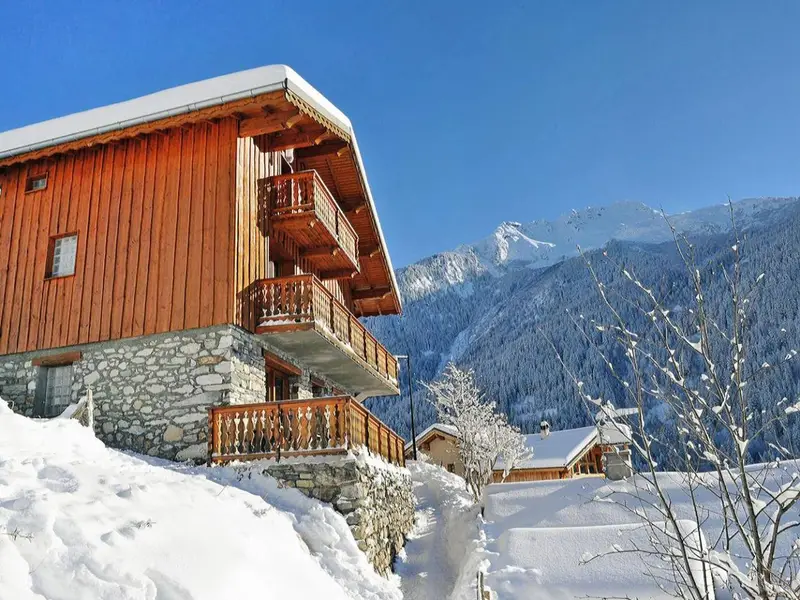 Chalet Gentianes Bleus, chalet à Paradiski - La Plagne & Les Arcs (France) (photo 3)