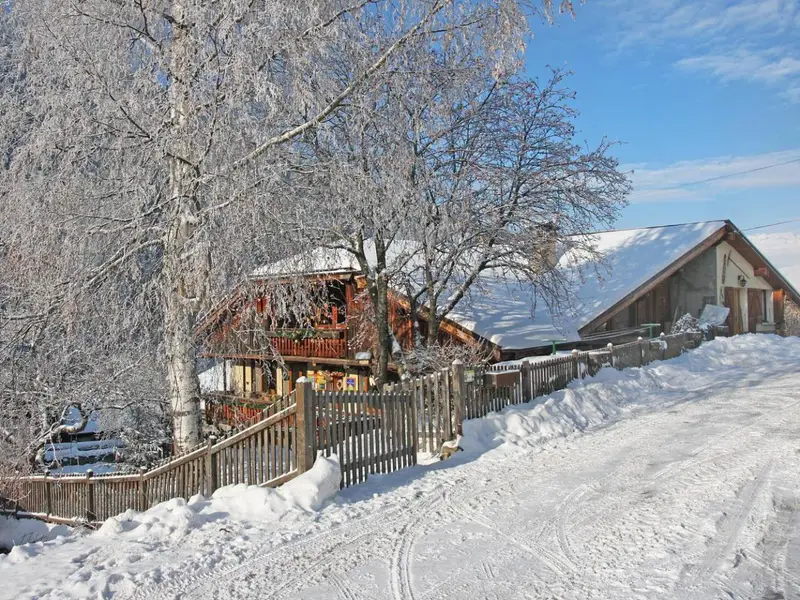 Chalet de Claude, chalet à Paradiski - La Plagne & Les Arcs (France) (photo 3)