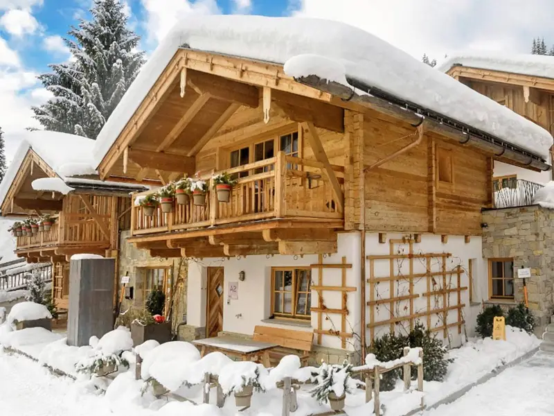 Unique Chalet Flachau III, chalet à Flachau-Wagrain-St. Johann (Autriche) (photo 2)