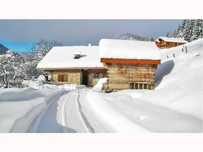 Chalet Petit Châtel, chalet à Portes du Soleil (France) (photo 2)