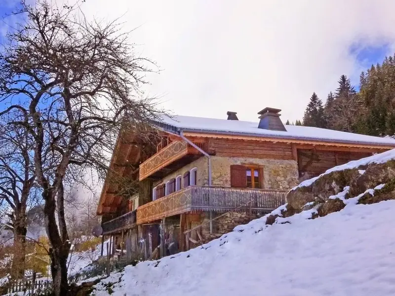 Chalet Petit Châtel, chalet à Portes du Soleil (France) (photo 3)
