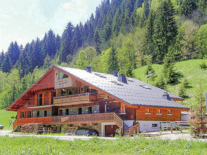 Chalet Châtel CCS01, chalet à Portes du Soleil (France) (photo 2)