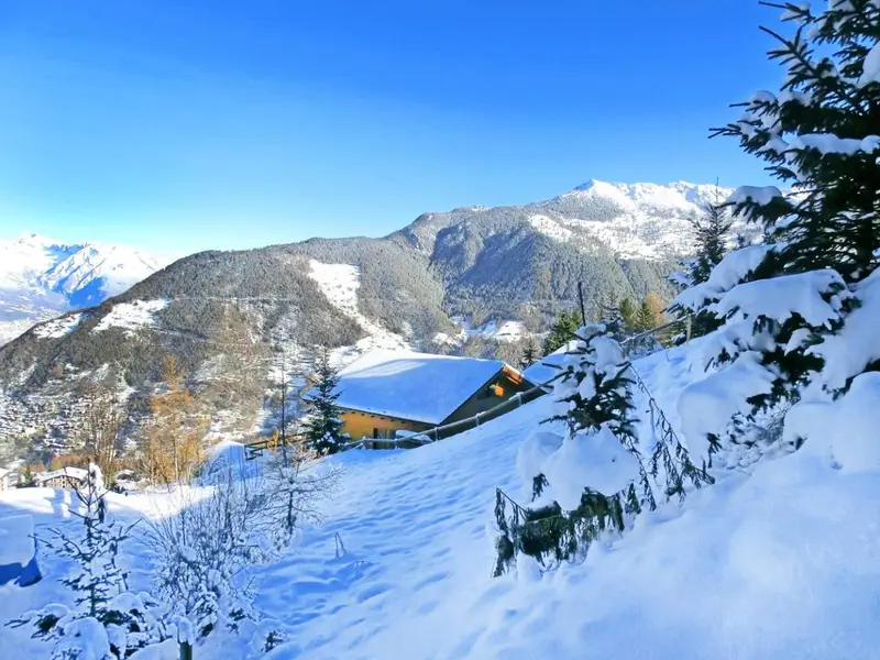 Chalet Quatre Vallées, chalet à 4 Vallées - Verbier (Suisse) (photo 3)